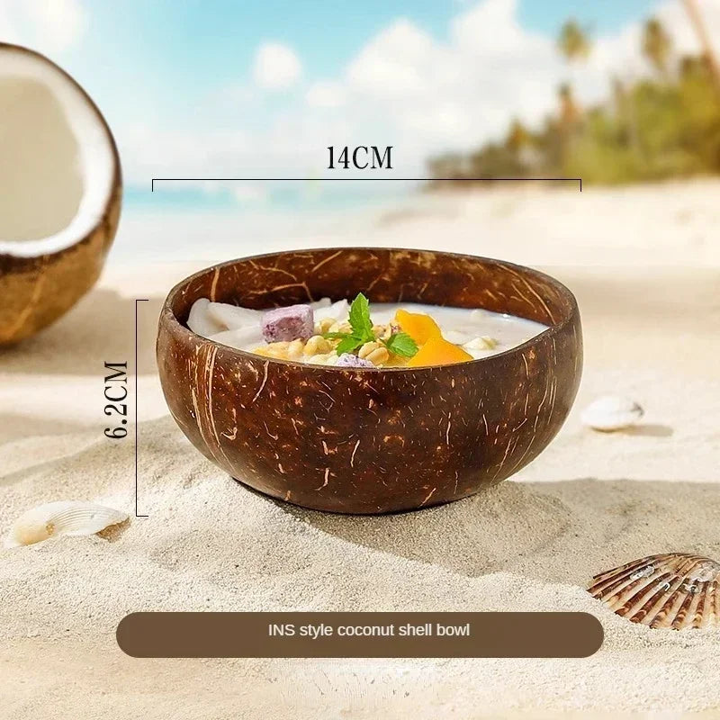 Natural Coconut Shell Bowl