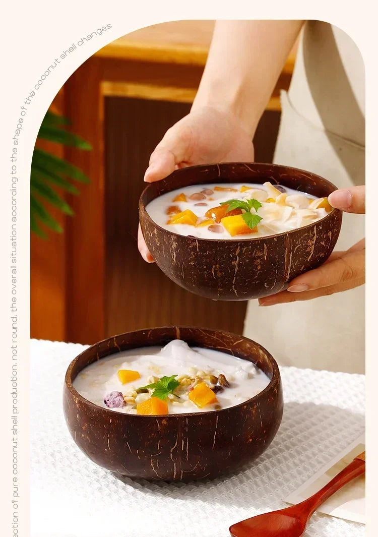 Natural Coconut Shell Bowl